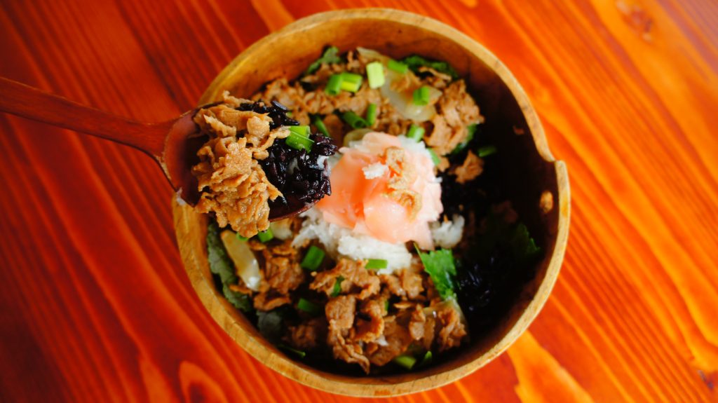 vegan gyudon da nang